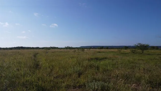 a view of an ocean beach