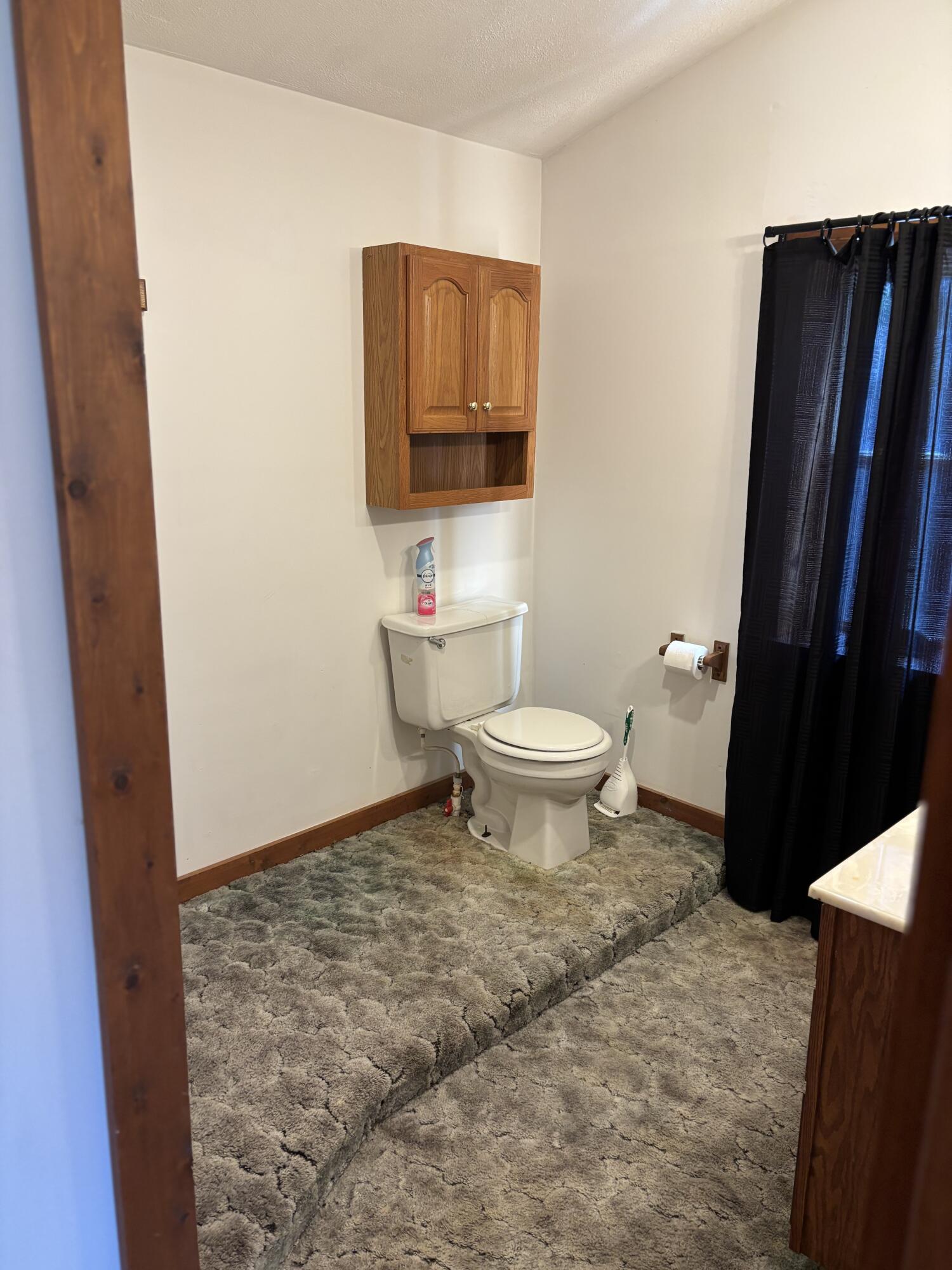 1170 Somers Road Lyons, MI 48851 - Photo 31 of 60 IMG_1428