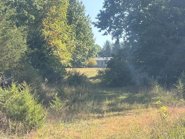 $345,000 | 1170 Somers Road, Lyons, MI 48851