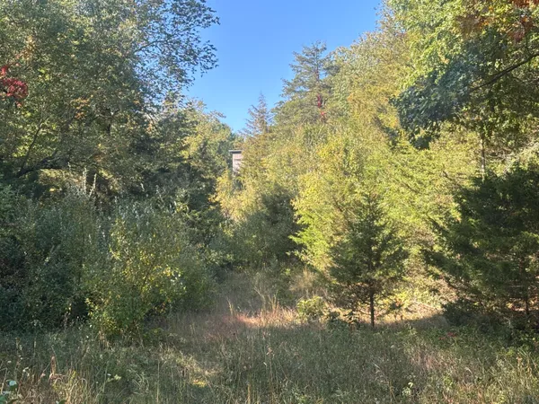 $345,000 | 1170 Somers Road, Lyons, MI 48851