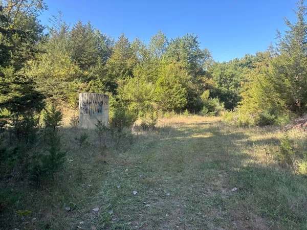 $345,000 | 1170 Somers Road, Lyons, MI 48851