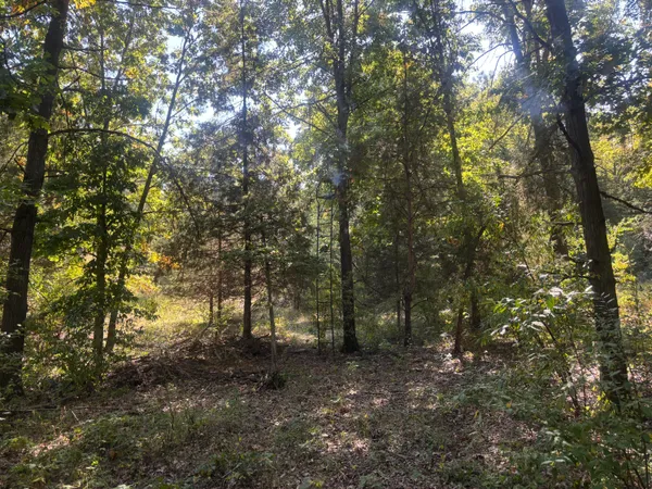 $345,000 | 1170 Somers Road, Lyons, MI 48851