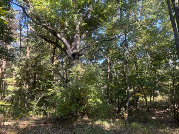 $345,000 | 1170 Somers Road, Lyons, MI 48851