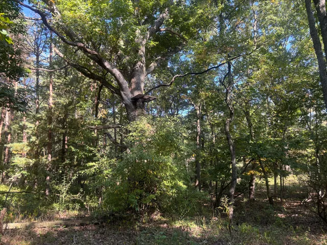 $354,000 | 1170 Somers Road, Lyons, MI 48851