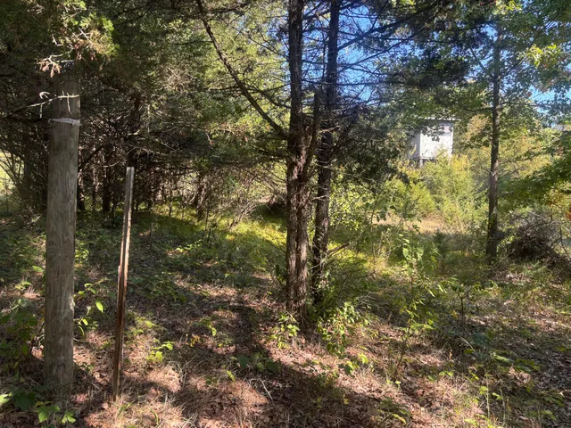 $354,000 | 1170 Somers Road, Lyons, MI 48851