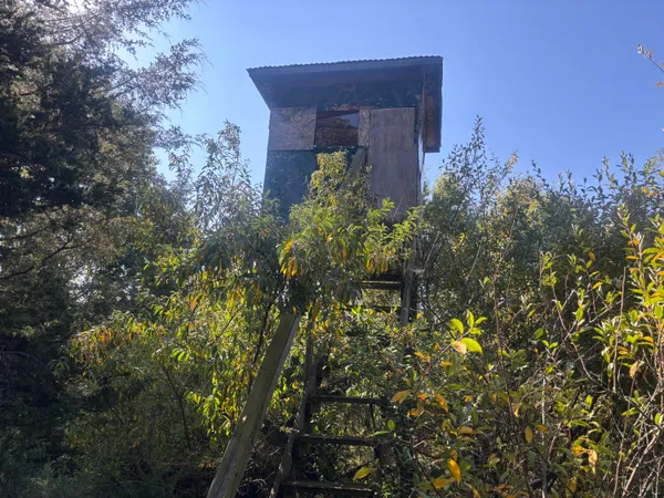 $345,000 | 1170 Somers Road, Lyons, MI 48851