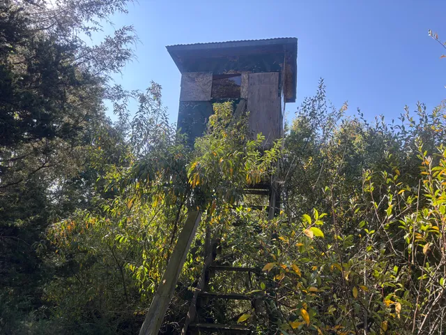 $354,000 | 1170 Somers Road, Lyons, MI 48851