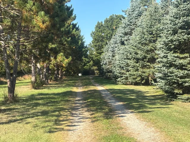 $354,000 | 1170 Somers Road, Lyons, MI 48851