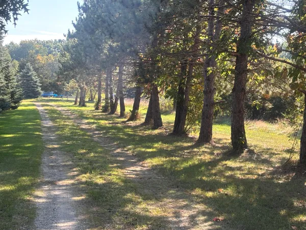 $345,000 | 1170 Somers Road, Lyons, MI 48851