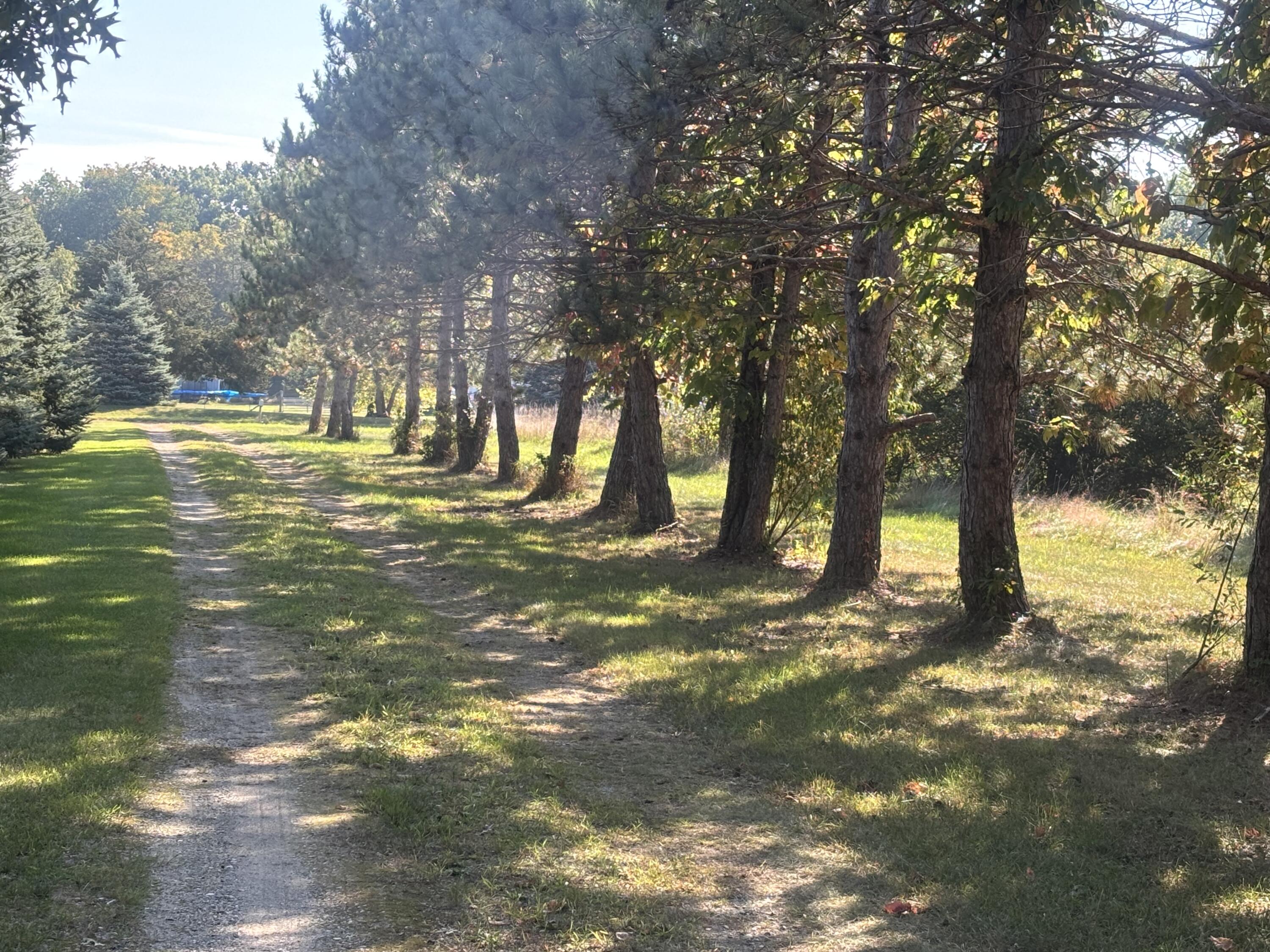 1170 Somers Road Lyons, MI 48851 - Photo 59 of 60 IMG_2720