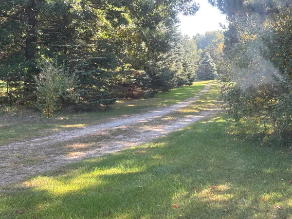 $345,000 | 1170 Somers Road, Lyons, MI 48851