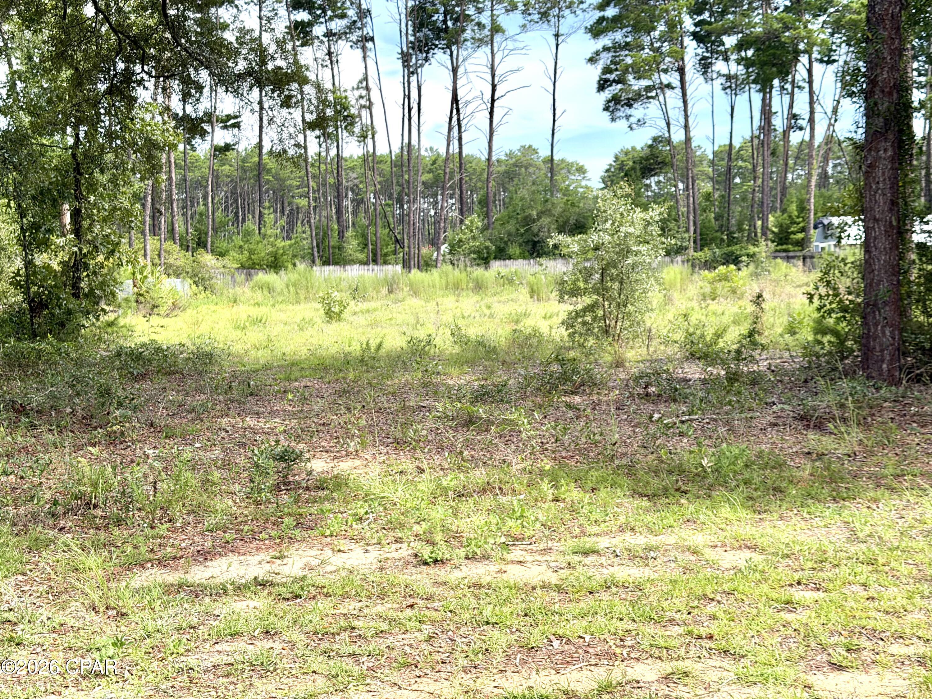 0 Co Highway Freeport, FL 32439 - Photo 2 of 3