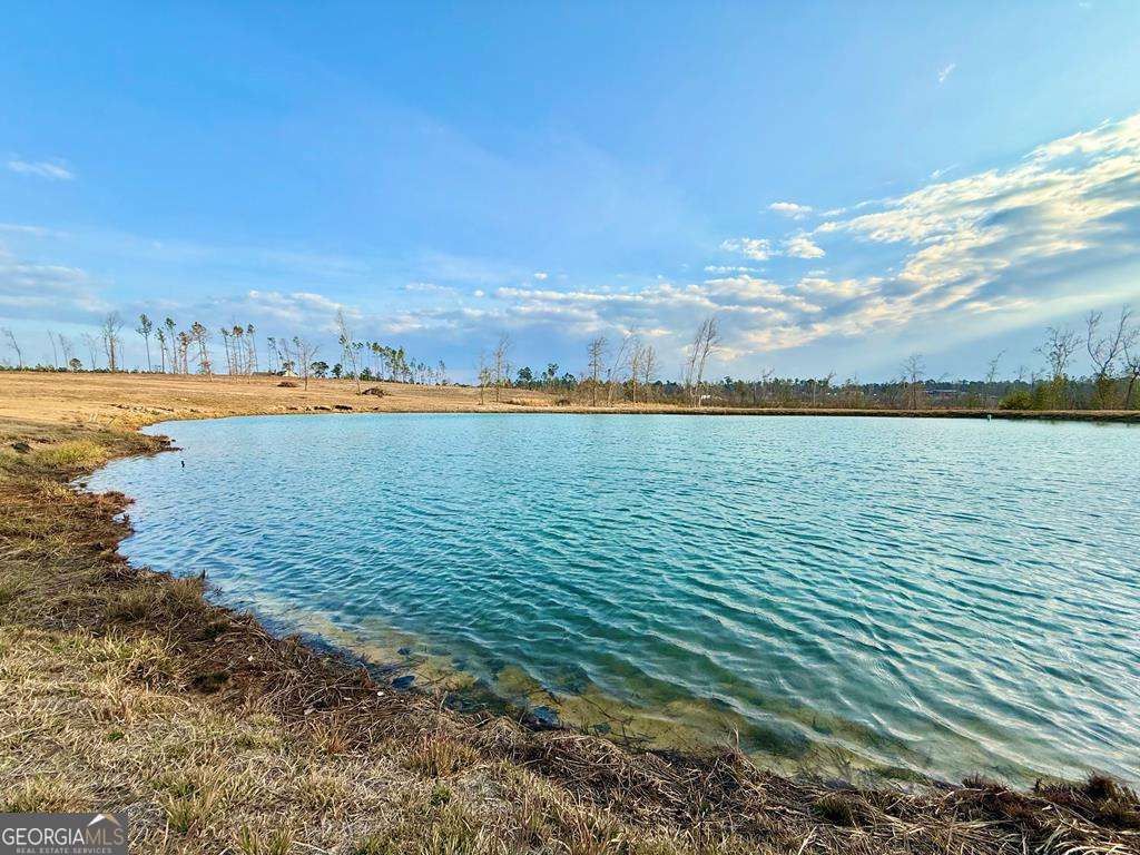 79 Hester Road Hazlehurst, GA 31539 - Photo 1 of 21 a view of an ocean