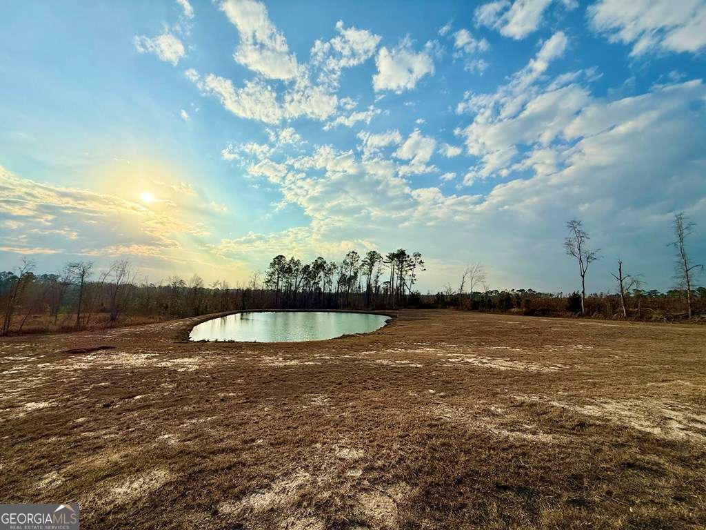 79 Hester Road Hazlehurst, GA 31539 - Photo 11 of 21 a view of a ocean view