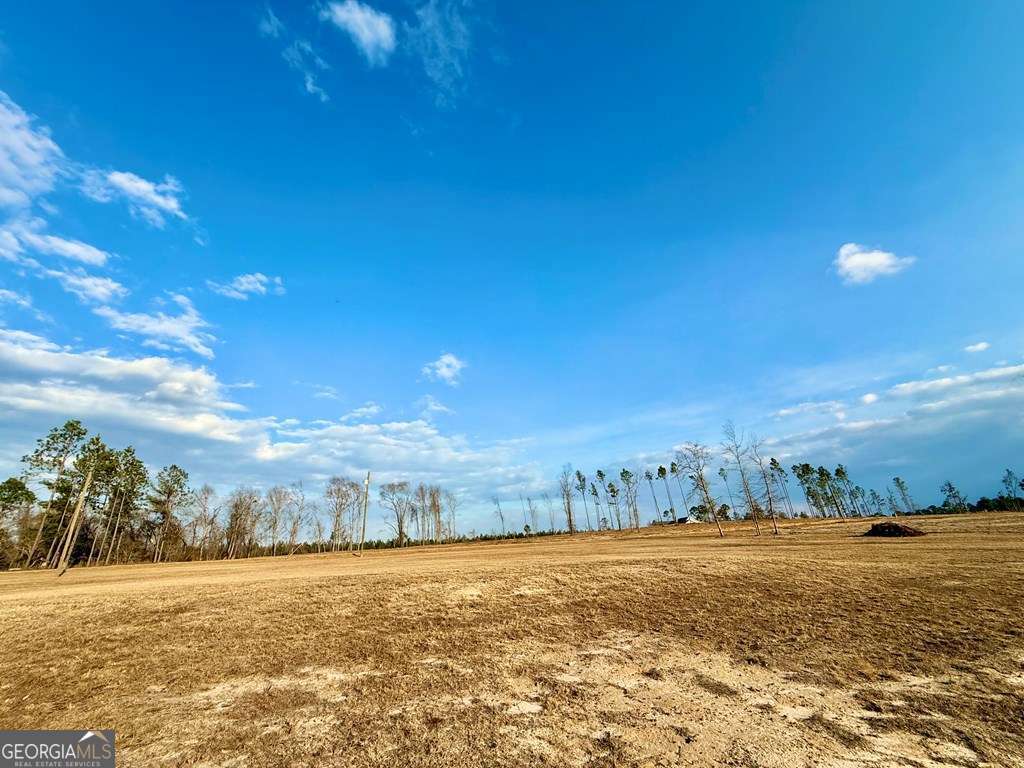 79 Hester Road Hazlehurst, GA 31539 - Photo 13 of 21 a view of an ocean view
