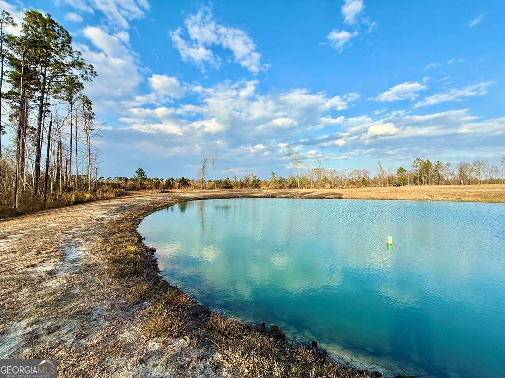 79 Hester Road Hazlehurst, GA 31539 - Photo 14 of 21 a view of a lake from a yard