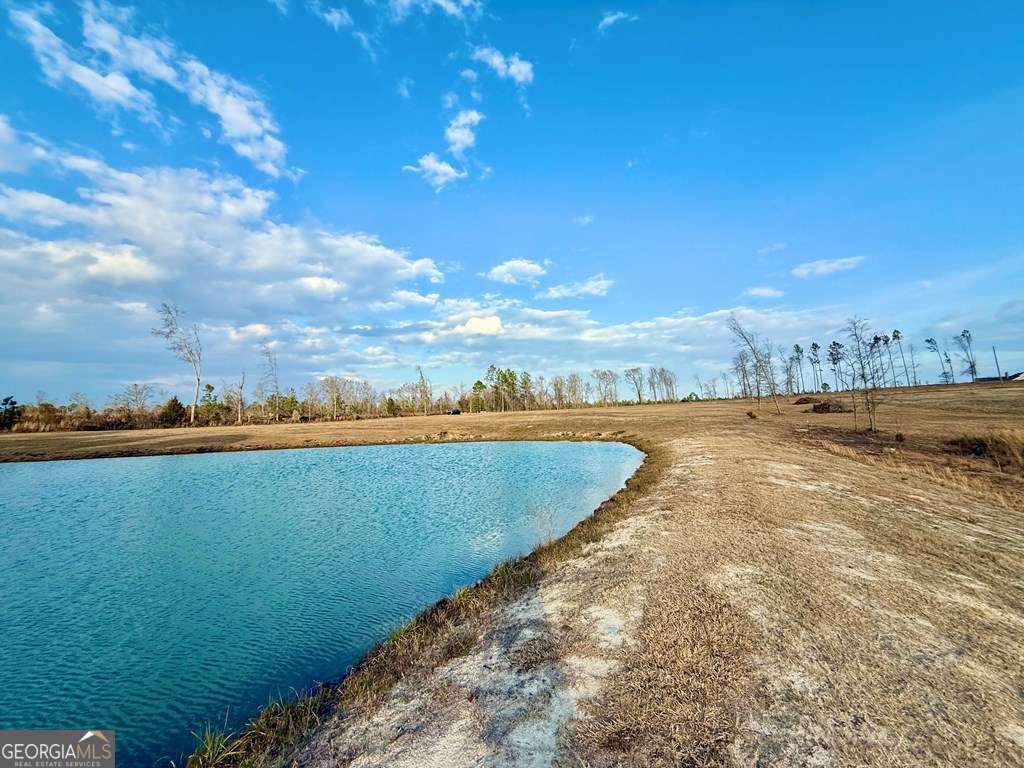 79 Hester Road Hazlehurst, GA 31539 - Photo 16 of 21 a view of a lake with a yard