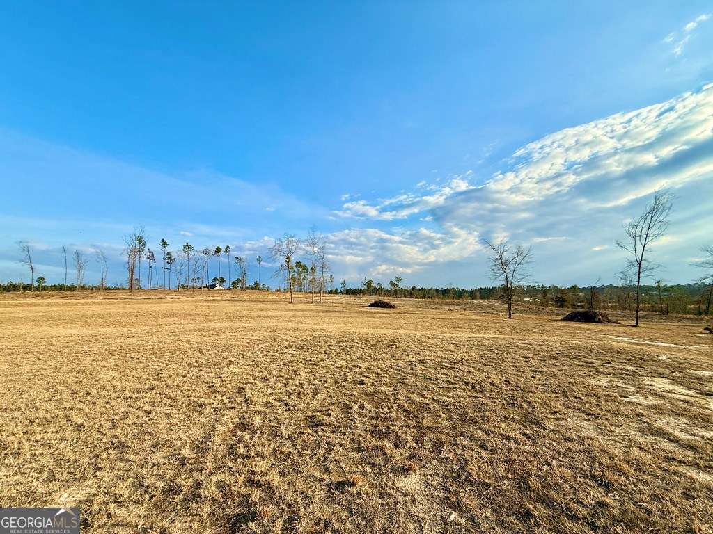 79 Hester Road Hazlehurst, GA 31539 - Photo 18 of 21 a view of an ocean