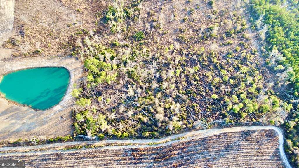79 Hester Road Hazlehurst, GA 31539 - Photo 19 of 21 a view of a garden
