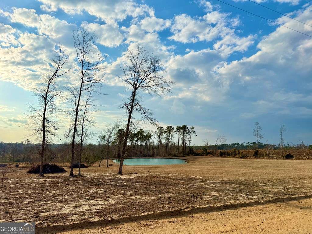 79 Hester Road Hazlehurst, GA 31539 - Photo 2 of 21 a view of a ocean with a large tree