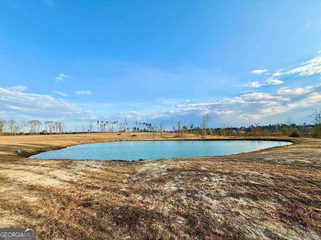 79 Hester Road Hazlehurst, GA 31539 - Photo 4 of 21 a view of an ocean and city