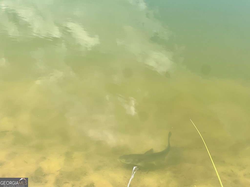 79 Hester Road Hazlehurst, GA 31539 - Photo 8 of 21 a view of a small space