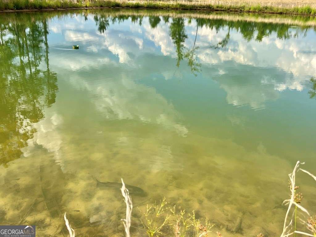 79 Hester Road Hazlehurst, GA 31539 - Photo 9 of 21 a view of a lake