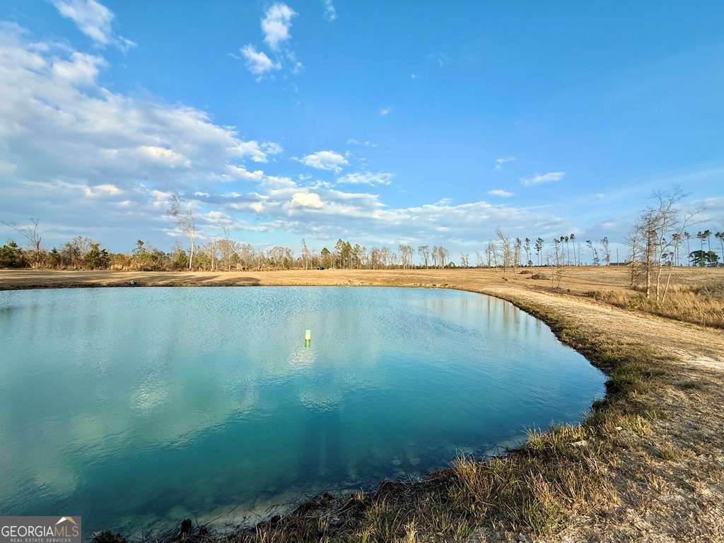 79 Hester Road Hazlehurst, GA 31539 - Photo 10 of 21 a view of a water with an outdoor space