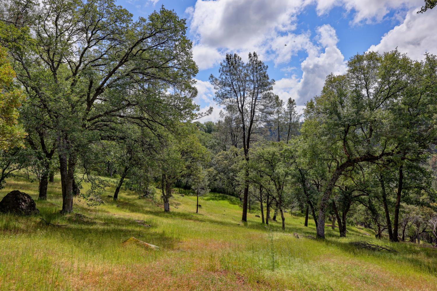 1480 Sage Road Colfax, CA 95713 - Photo 37 of 52