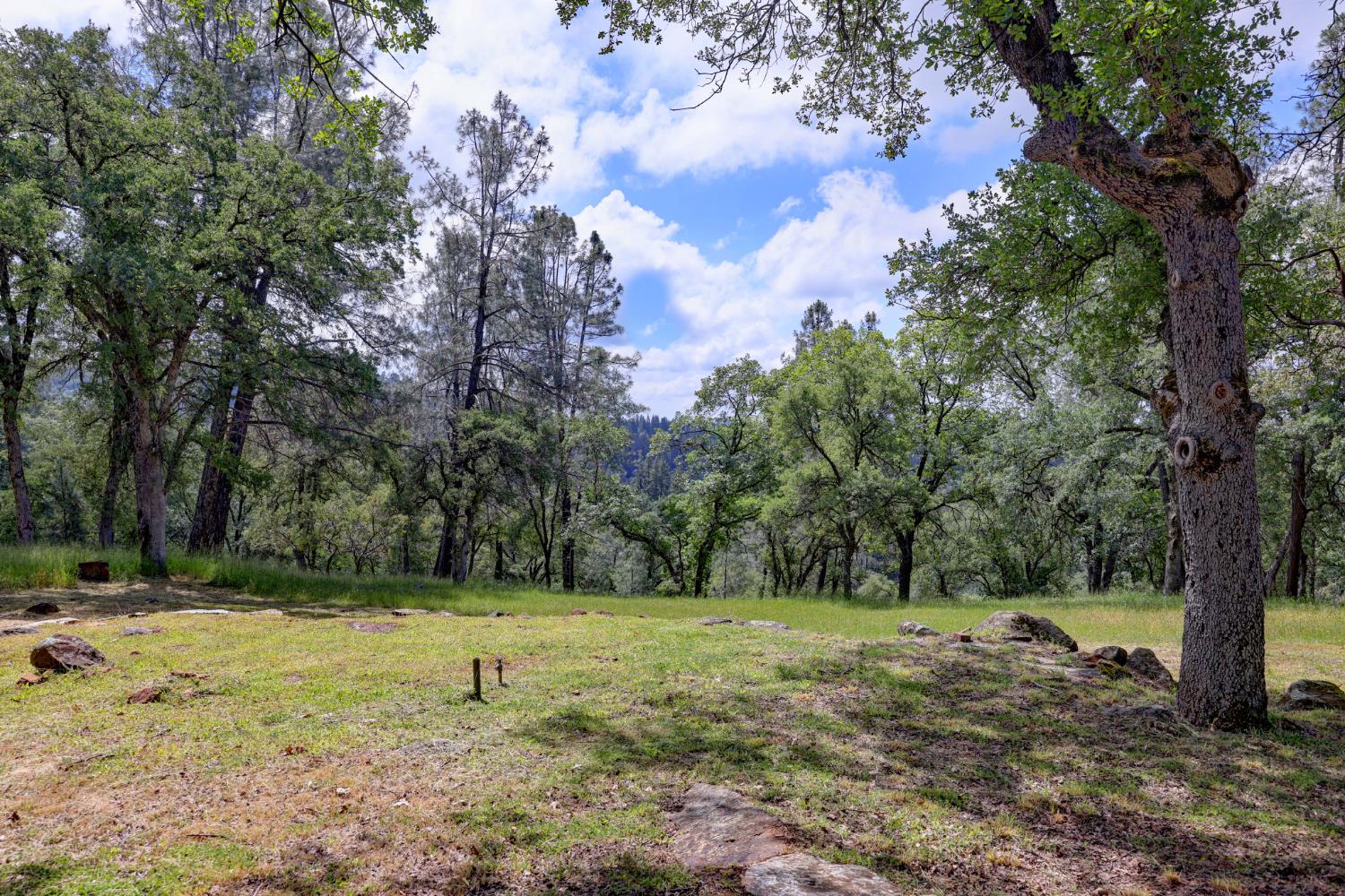 1480 Sage Road Colfax, CA 95713 - Photo 39 of 52