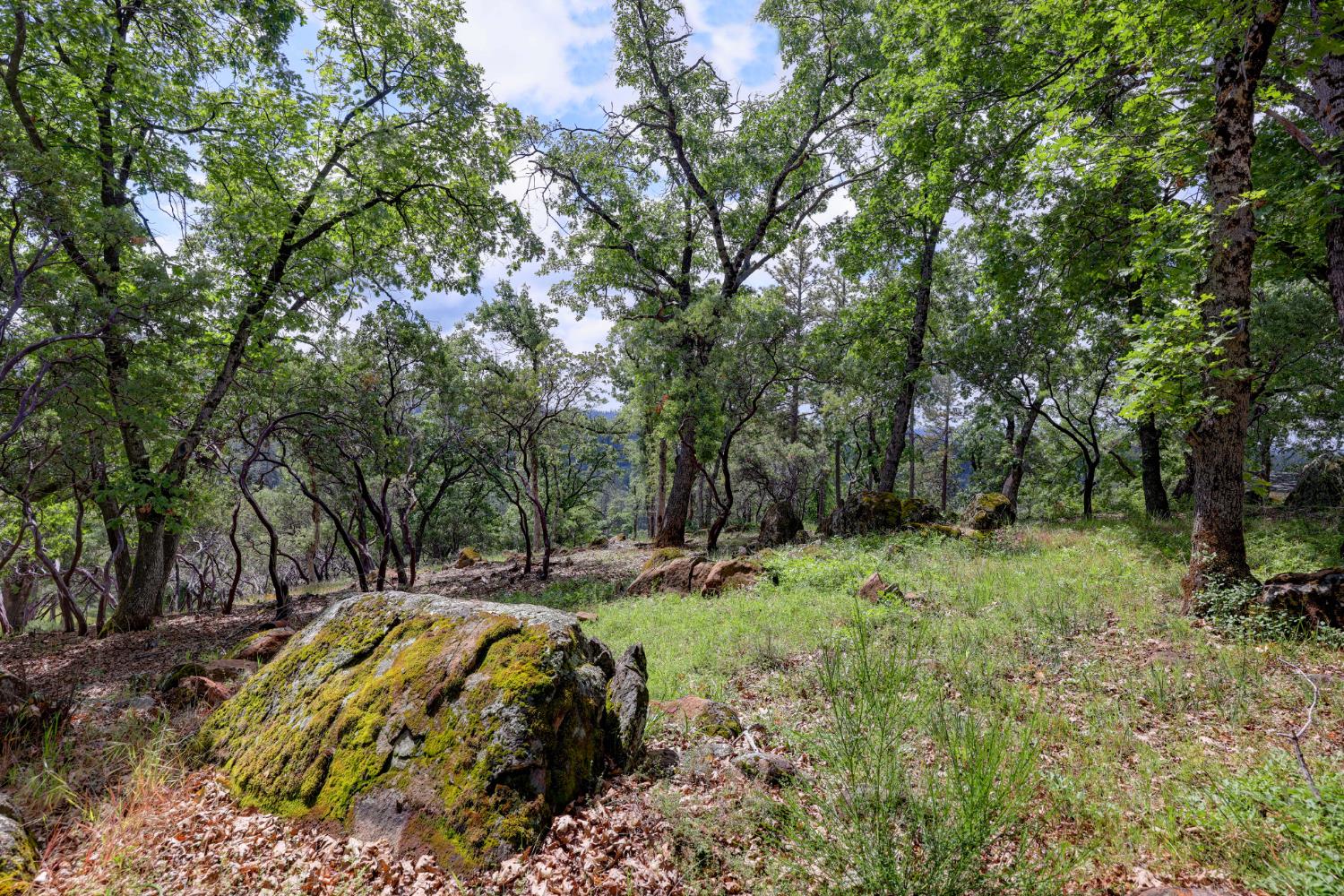 1480 Sage Road Colfax, CA 95713 - Photo 40 of 52