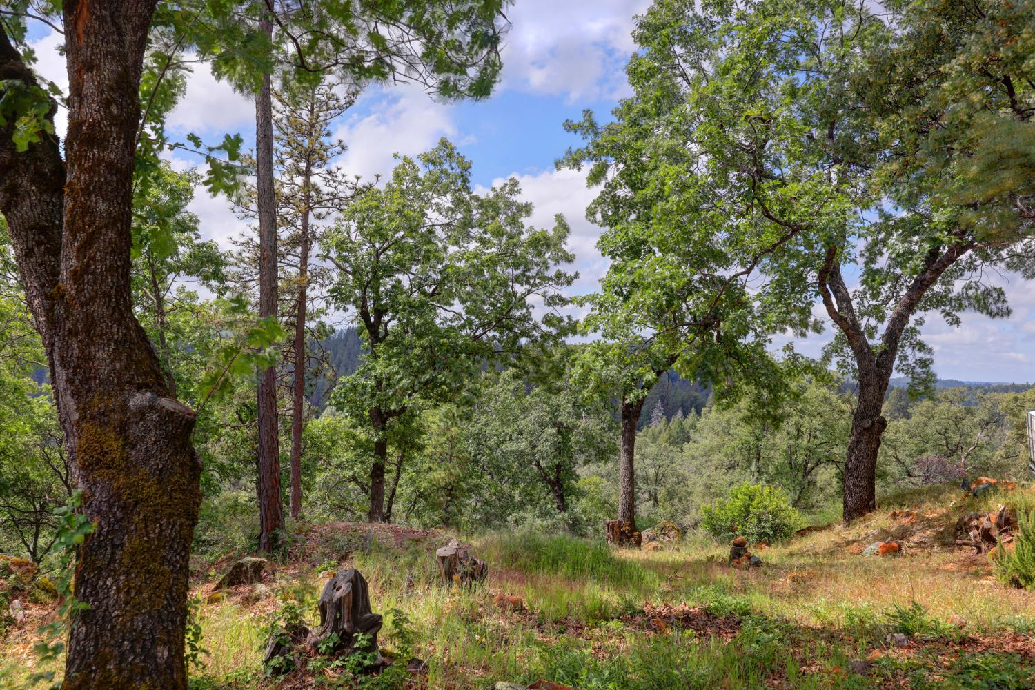 1480 Sage Road Colfax, CA 95713 - Photo 42 of 52