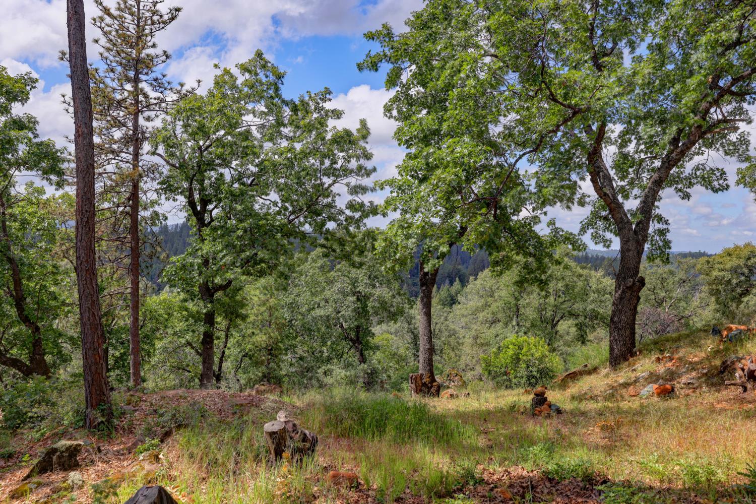 1480 Sage Road Colfax, CA 95713 - Photo 43 of 52