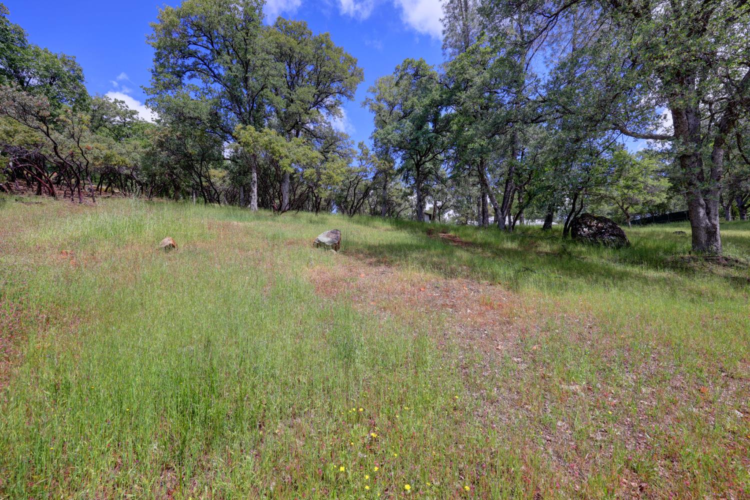 1480 Sage Road Colfax, CA 95713 - Photo 44 of 52