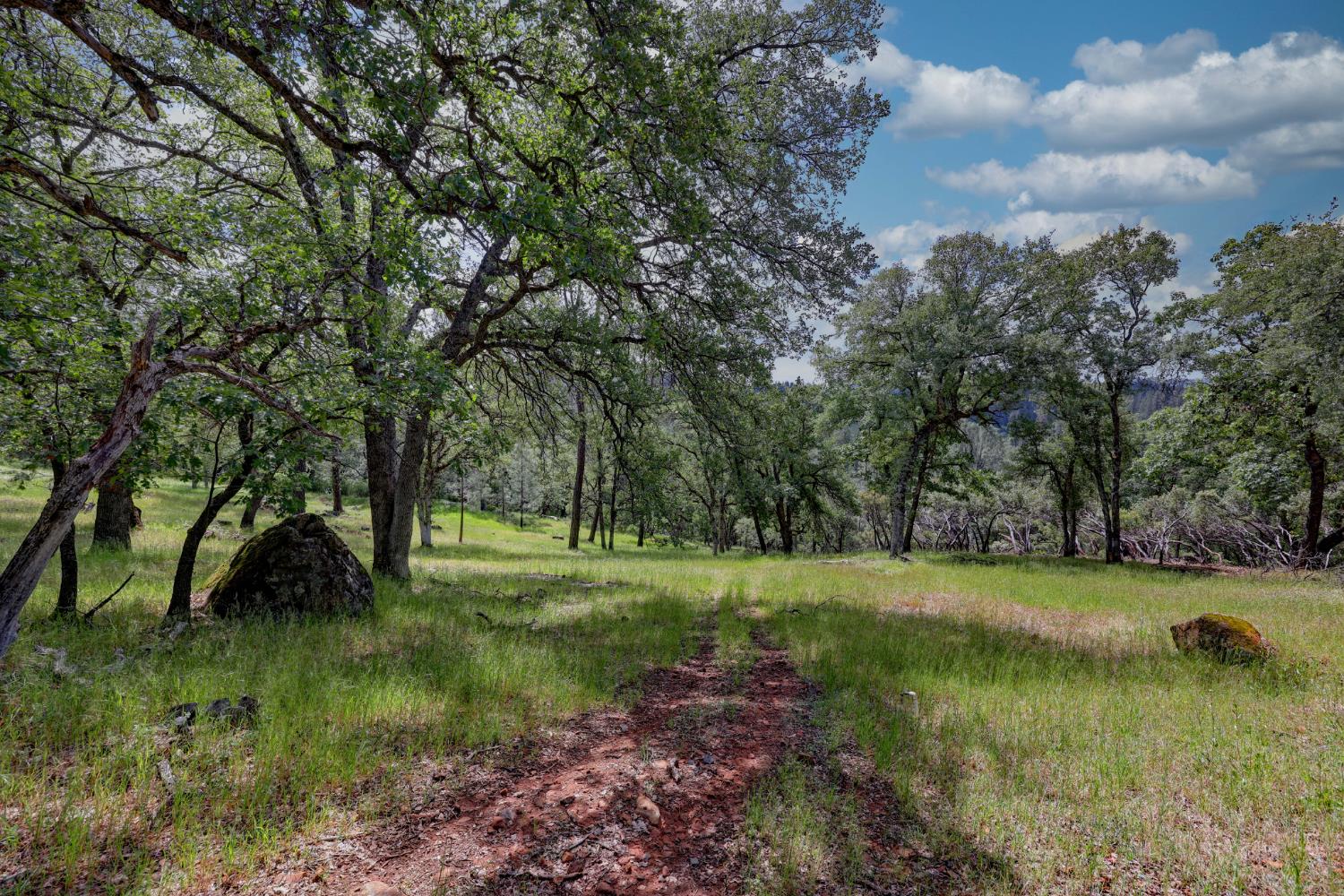 1480 Sage Road Colfax, CA 95713 - Photo 45 of 52