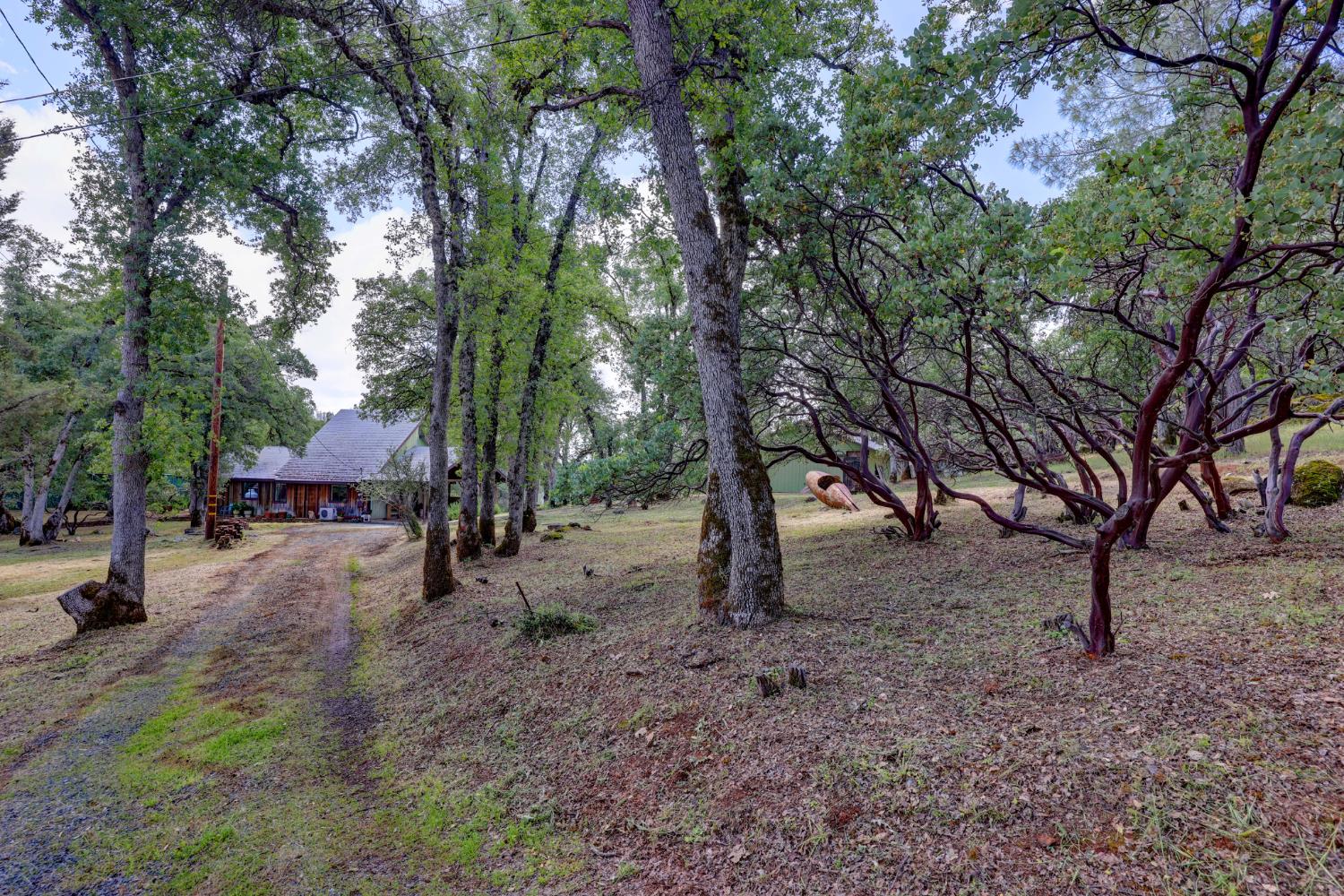 1480 Sage Road Colfax, CA 95713 - Photo 51 of 52