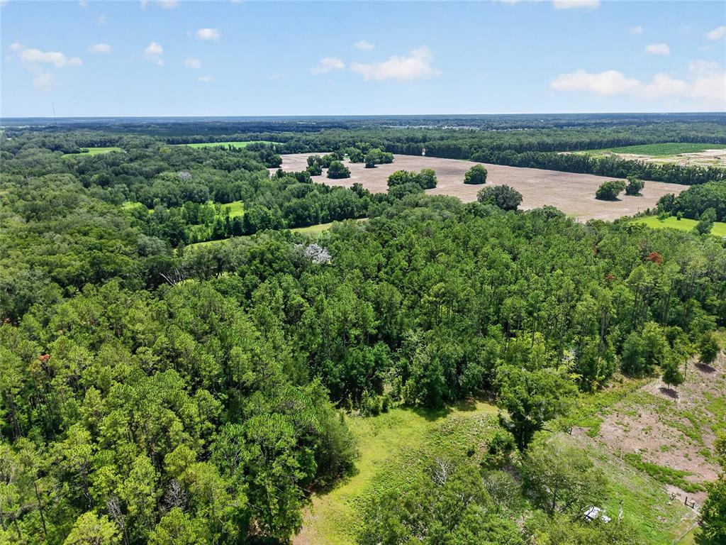 0 West Newberry Road Newberry, FL 32669 - Photo 23 of 27 Gallery Image 23