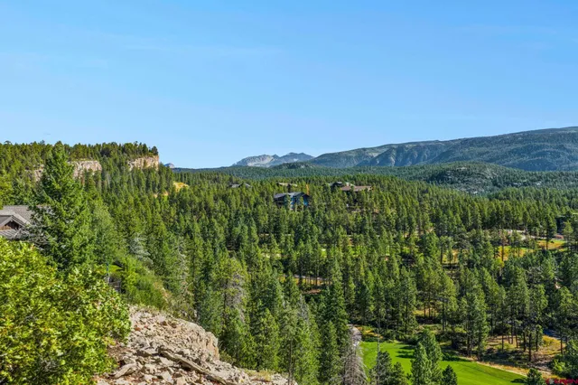 a view of a green field with lots of bushes