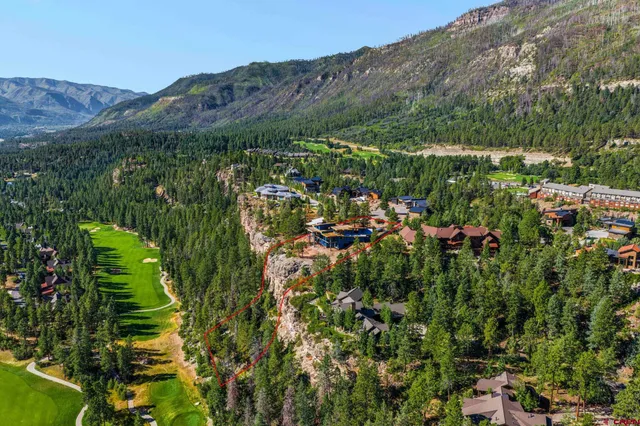 a view of a lush green forest