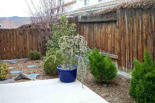 4257 Furgerson Ranch Road, Unit 4257 Carson City, NV 89701 - Photo 2 of 6 Gallery Image 2