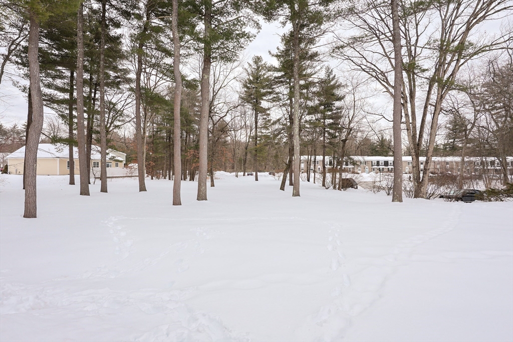 75 Sandy Pond Road, Unit 24 Ayer, MA 01432 - Photo 36 of 41 a view of street with a tree