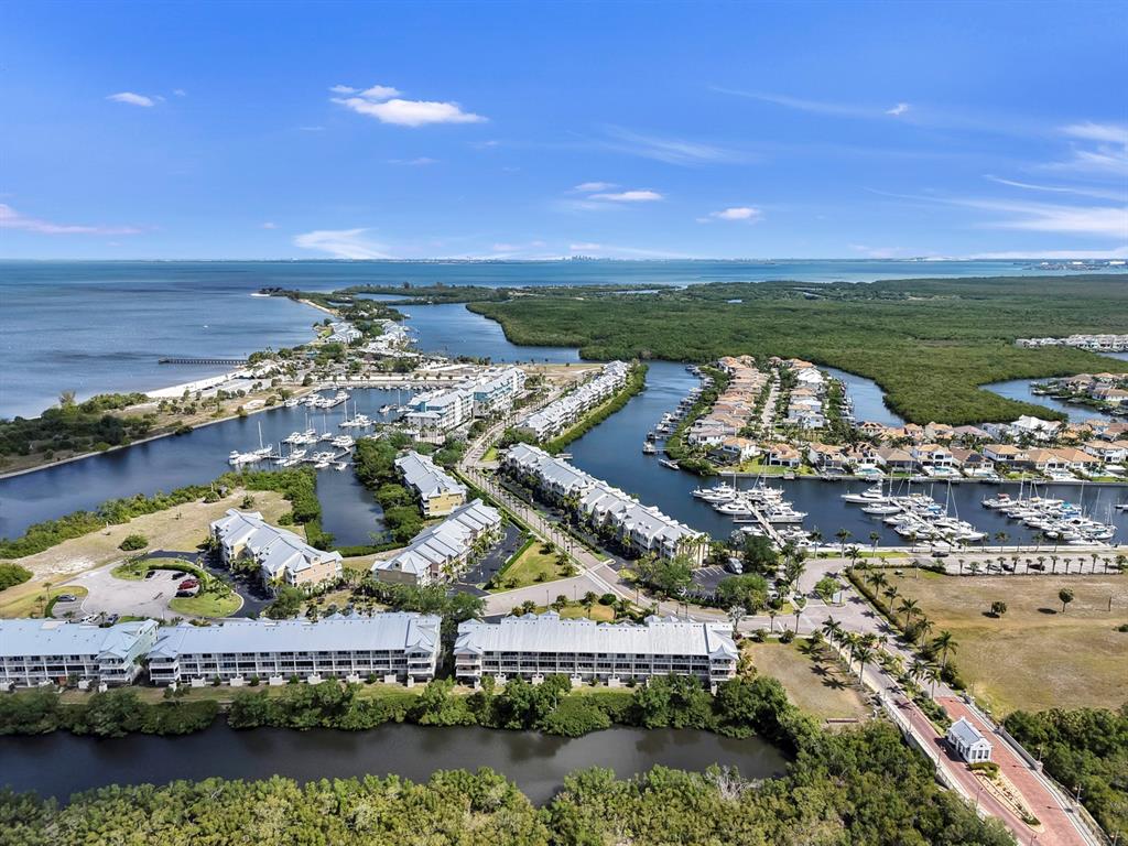 3202 Mangrove Point Drive Ruskin, FL 33570 - Photo 10 of 63