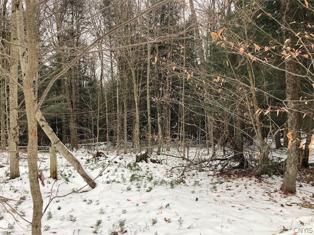 8 Rt Ohio, NY 13324 - Photo 7 of 8
