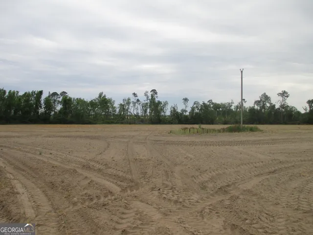 a view of a field with trees in background