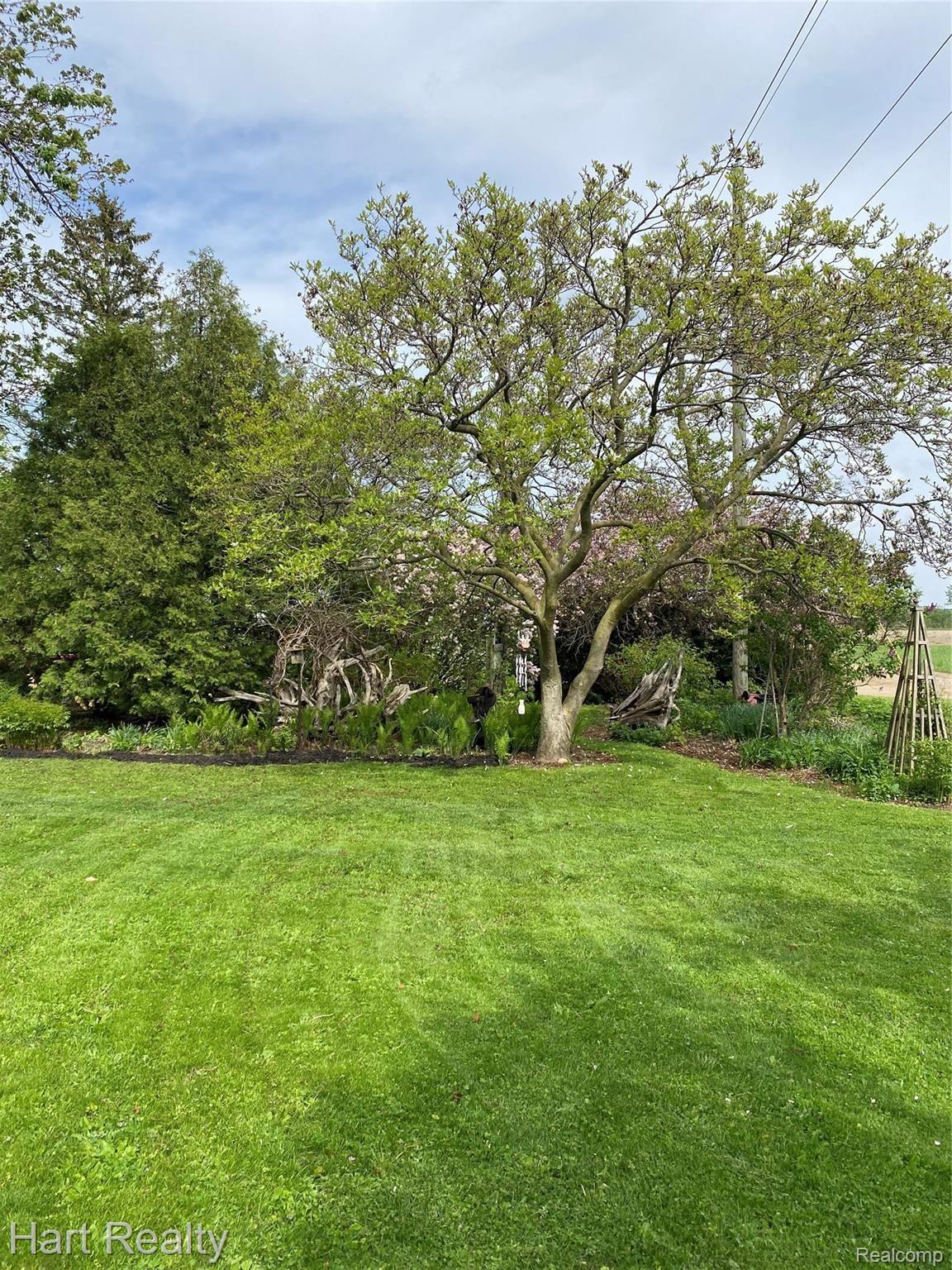 5910 Walker Road Marlette, MI 48453 - Photo 44 of 51 Pretty Side Yard