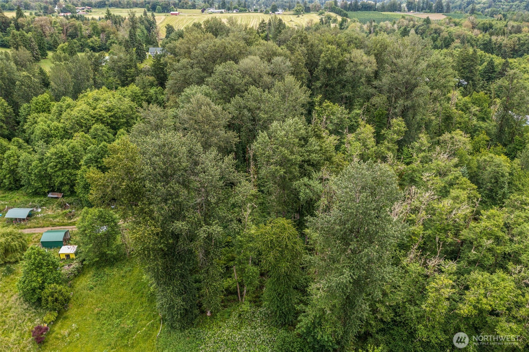 -xxx Harmony Road Mossyrock, WA 98564 - Photo 14 of 19