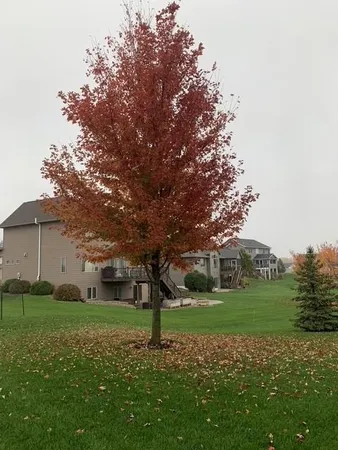 $819,500 | 1504 Century Corner Lane Northeast, Rochester, MN 55906