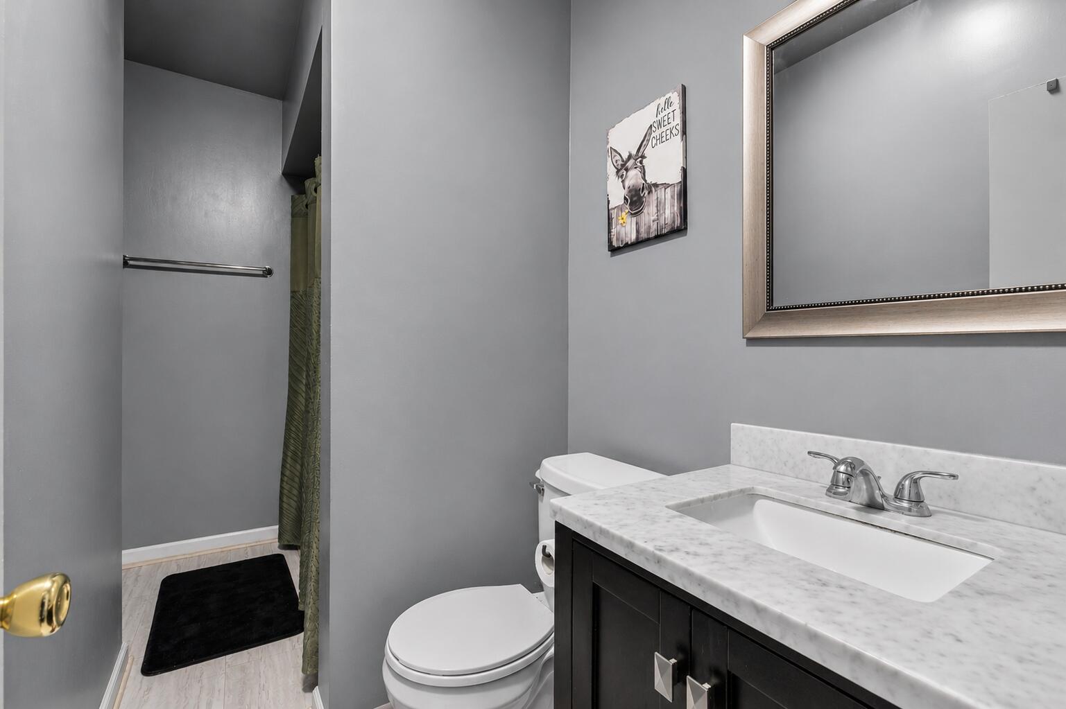 1012 Hamilton Street Racine, WI 53404 - Photo 8 of 11 Full bath features a modern vanity, updated finishes and convenient tub/shower combination.