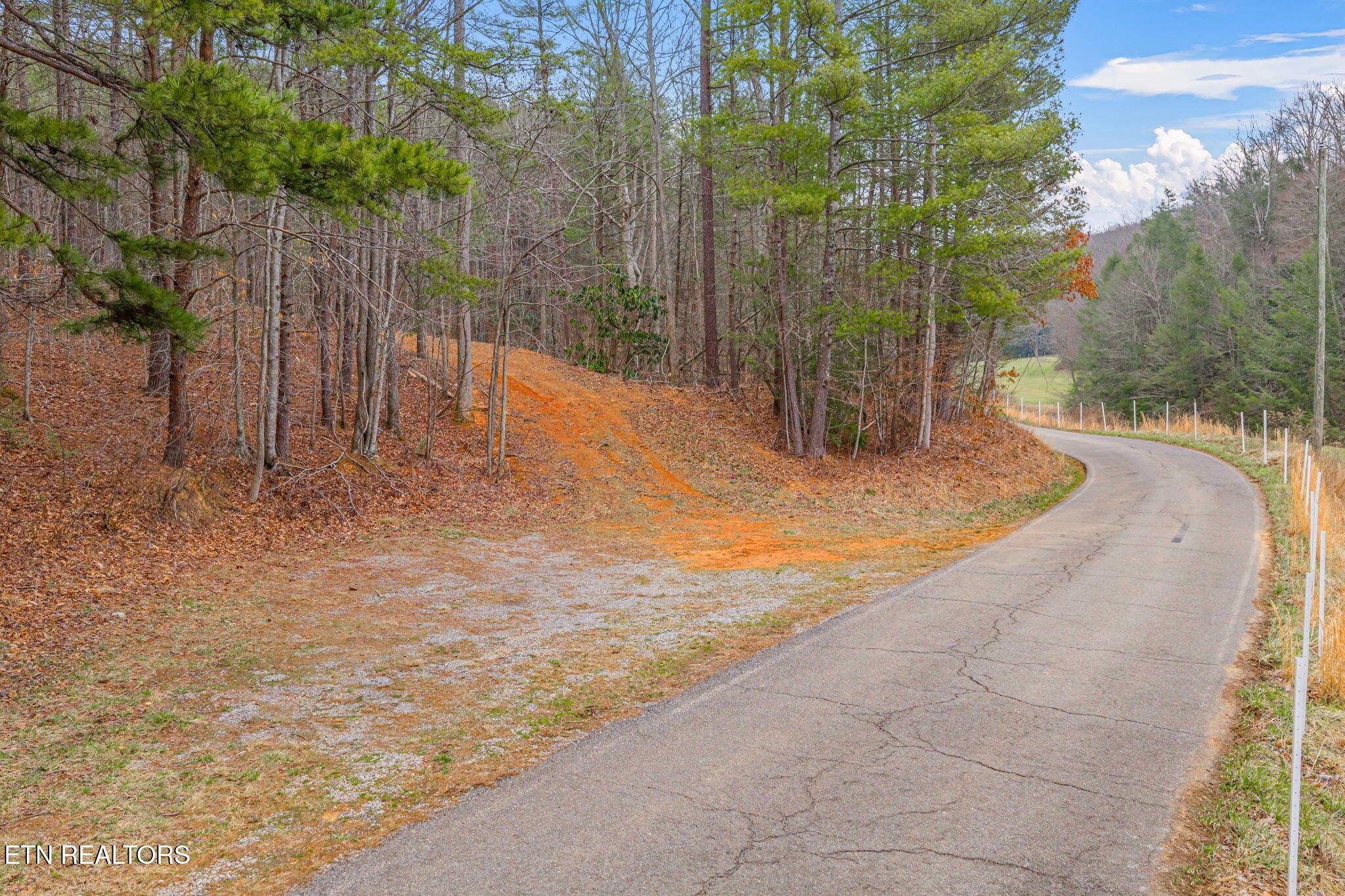 0 Rafter Road Tellico Plains, TN 37385 - Photo 6 of 15 Gallery Image 6