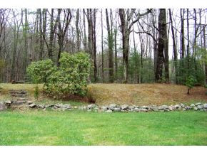 1807 Winchester Road Shady Valley, TN 37688 - Photo 16 of 24 LEVEL BACK YARD SOME TREES